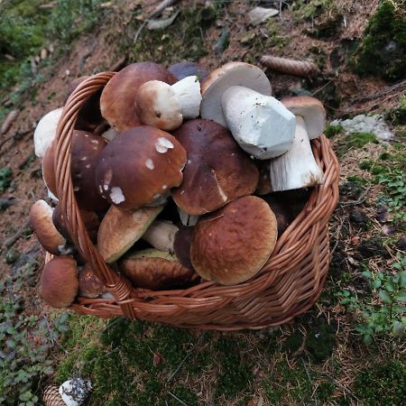 Hostinec U Pejska A Kocicky Marianske Lazne Exterior foto