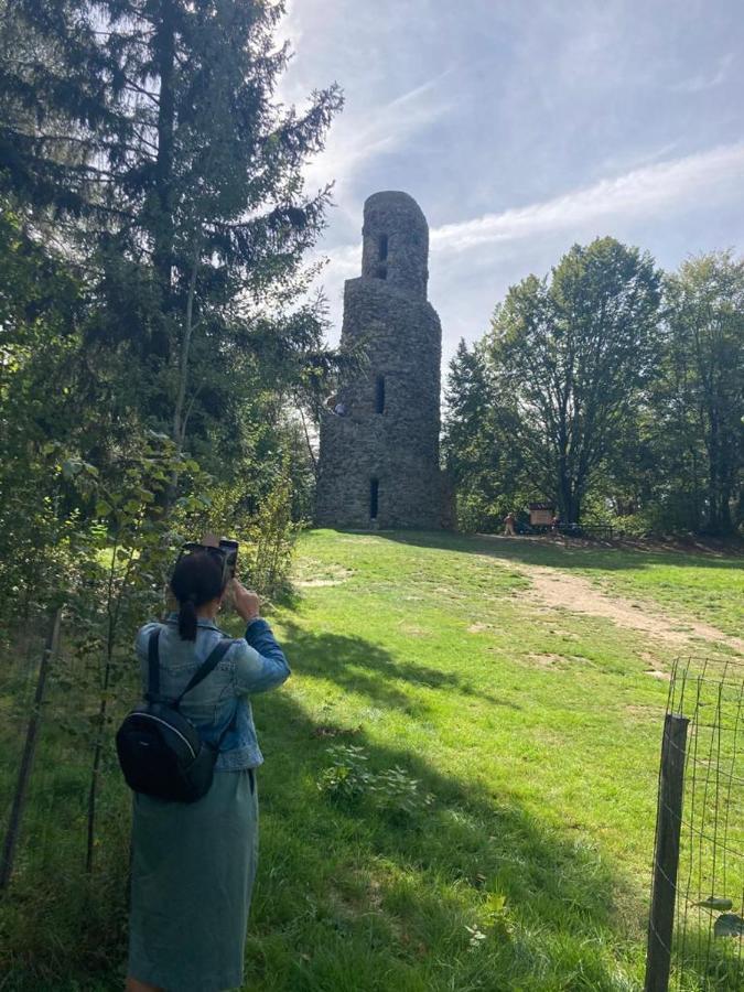 Hostinec U Pejska A Kocicky Marianske Lazne Exterior foto